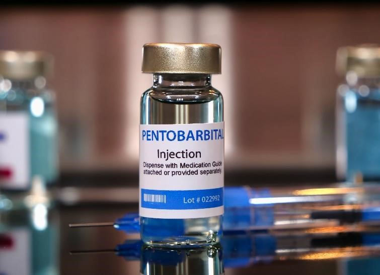 Buy Pentobarbital injection (Sodium)